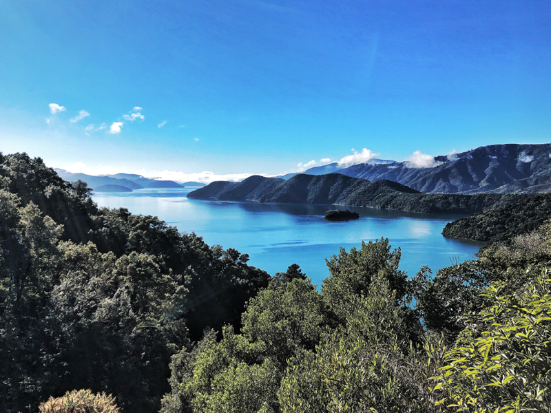 Queen Charlotte Sound