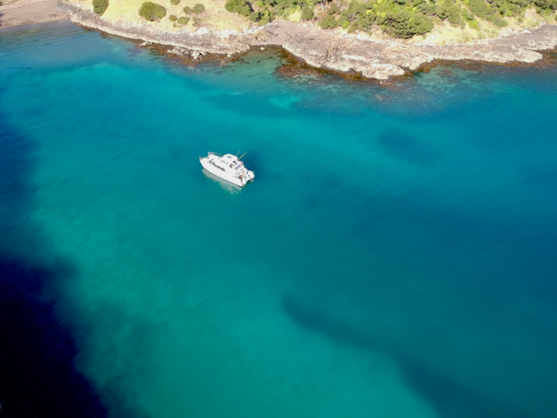 Cape Brett, Bay of Islands