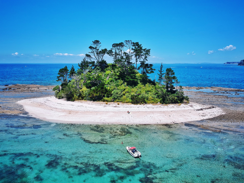 Beehive Island, Hauraki Gulf